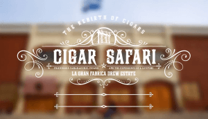 cigar safari 2014 trip 2