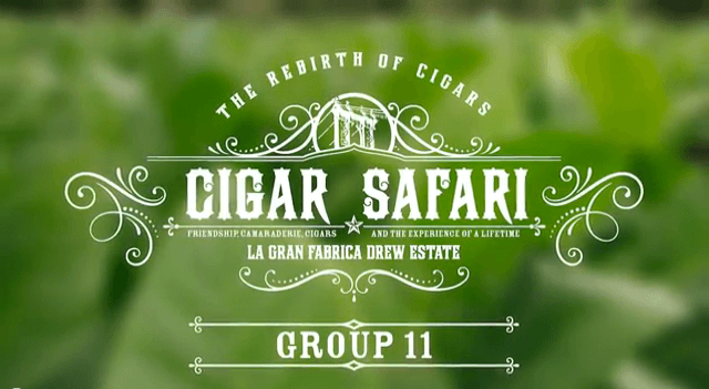 cigar safari 2014