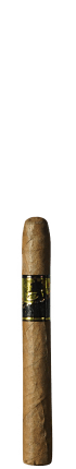 Acid Gold Cigar Size Krush