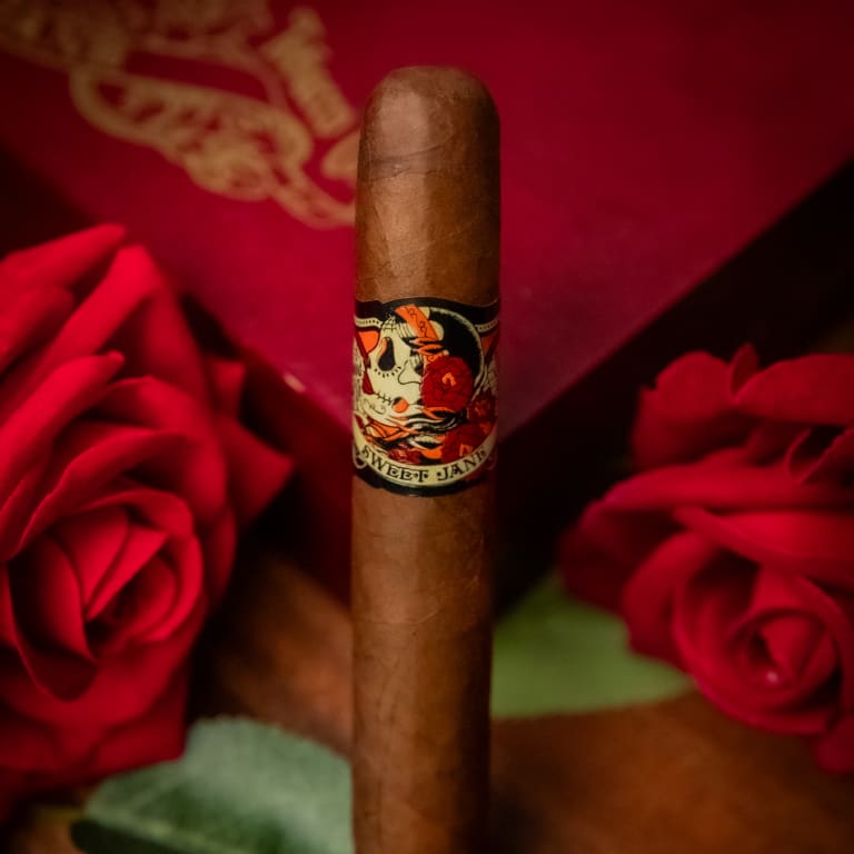 Deadwood Sweet Jane cigar rests elegantly on a vibrant red rose