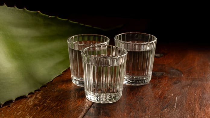 Mezcal Joven