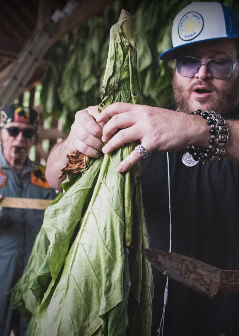 a man holding tobacco leaves
