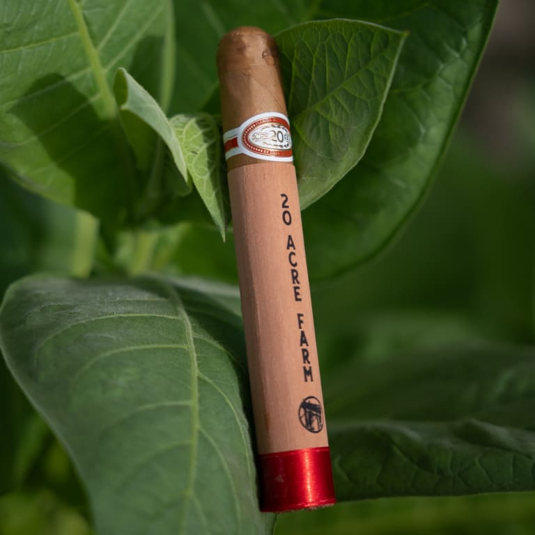 A "20 Acre Farm" cigar rests against vibrant green tobacco leaves