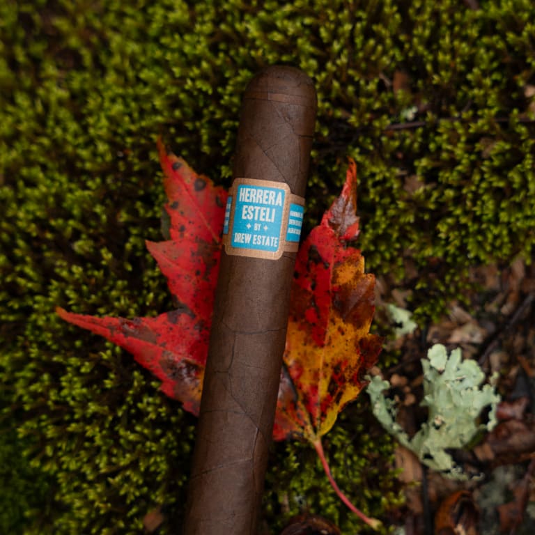 herrera esteli brazil cigar laying on a red-orange leaf