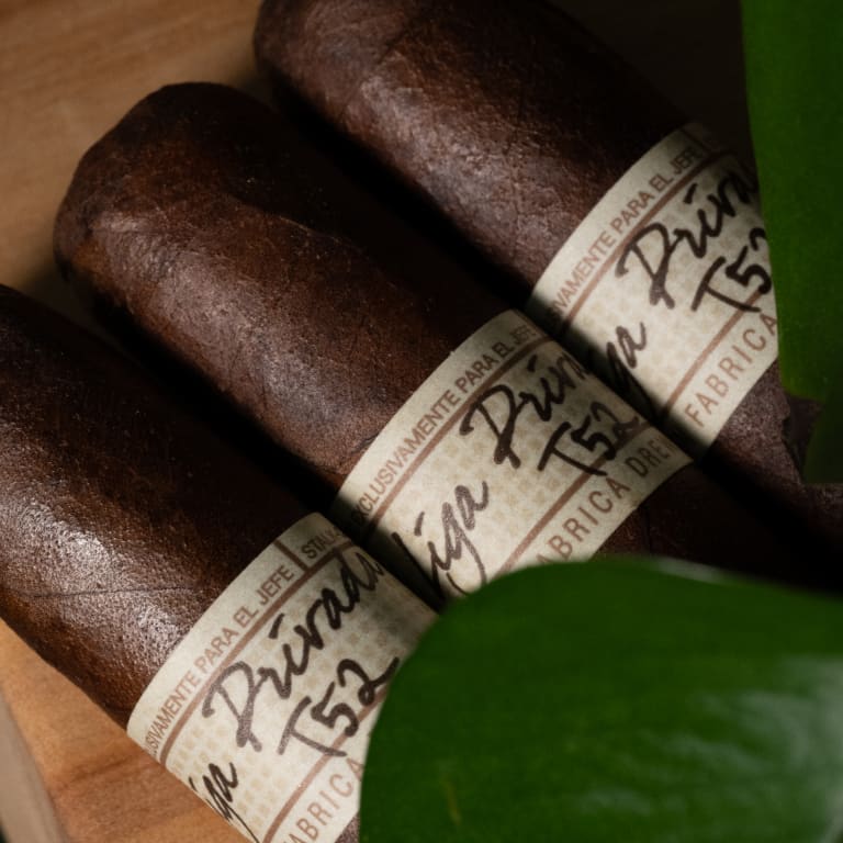 3 liga privada t52 cigars sit together beneath a leaf