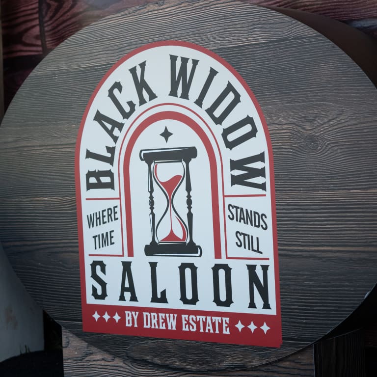 Logo of Black Widow Salon featuring a sleek design with a spider motif