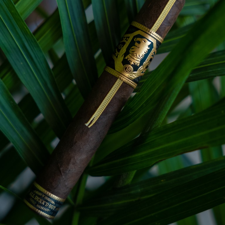 A Undercrown UC 10 cigar rests atop a vibrant green plant