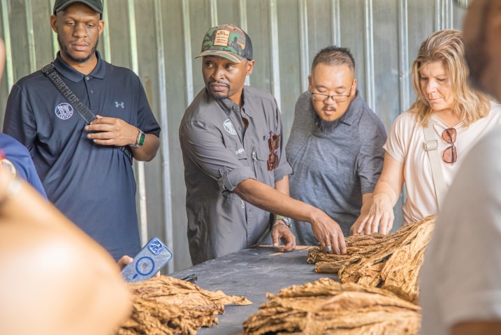 a group of people looking at tobacco leaves in the factory