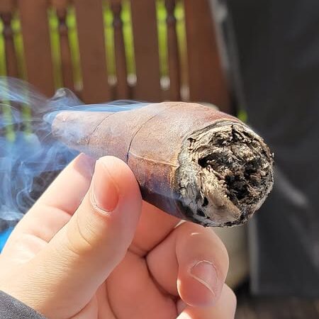 The Egg Cigar