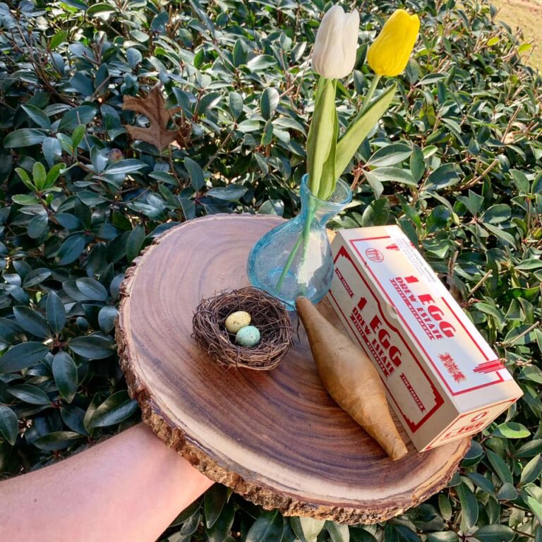 The Egg Cigar