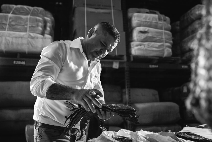black and white image of a man standing in a warehouse holding a stack of tobacco leaves