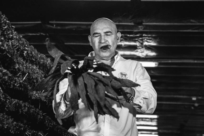 Black and white image of a man holding a cluster of tobacco leaves inside a warehouse