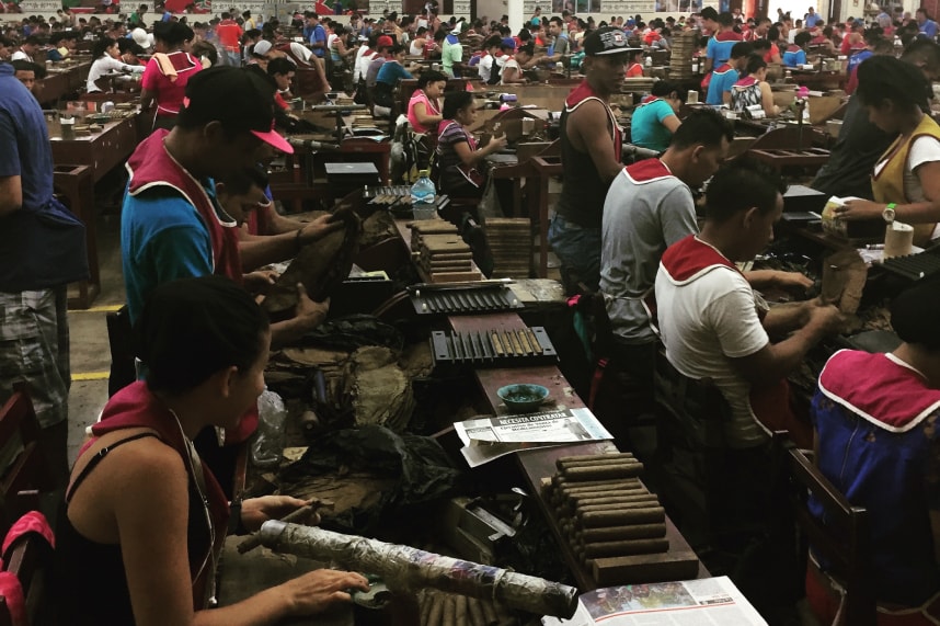 A cigar factory scene with numerous workers engaged in various tasks